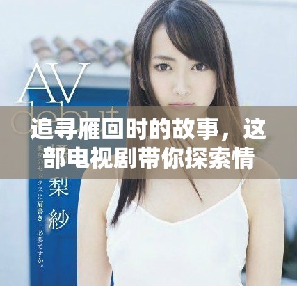 追寻雁回时的故事，这部电视剧带你探索情感与梦想