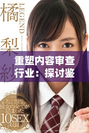 重塑内容审查行业：探讨鉴黄师的重要性与挑战