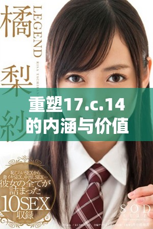 重塑17.c.14的内涵与价值，探寻其应用与意义