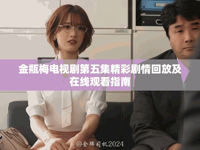 金瓶梅电视剧第五集精彩剧情回放及在线观看指南