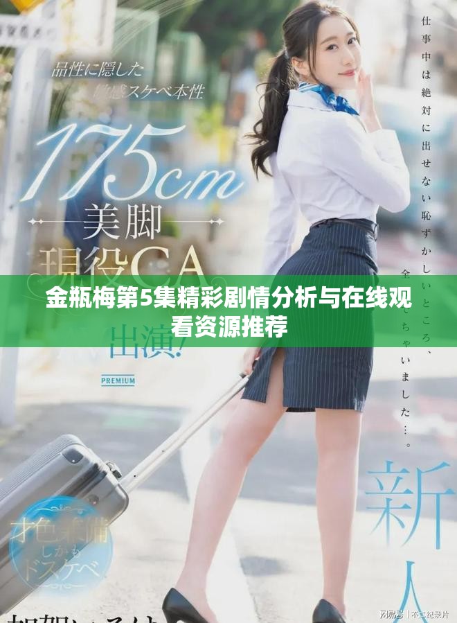 金瓶梅第5集精彩剧情分析与在线观看资源推荐