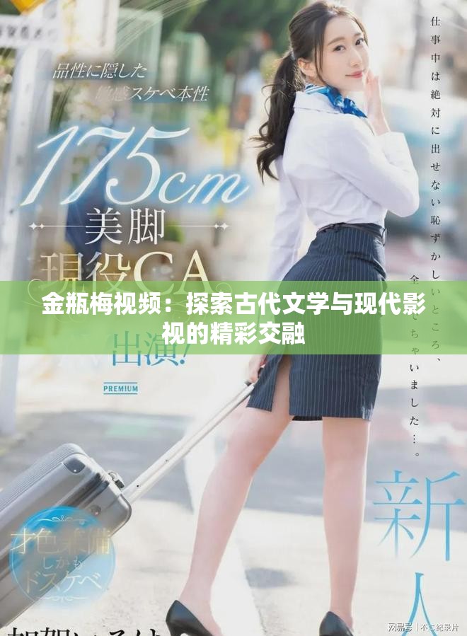 金瓶梅视频：探索古代文学与现代影视的精彩交融
