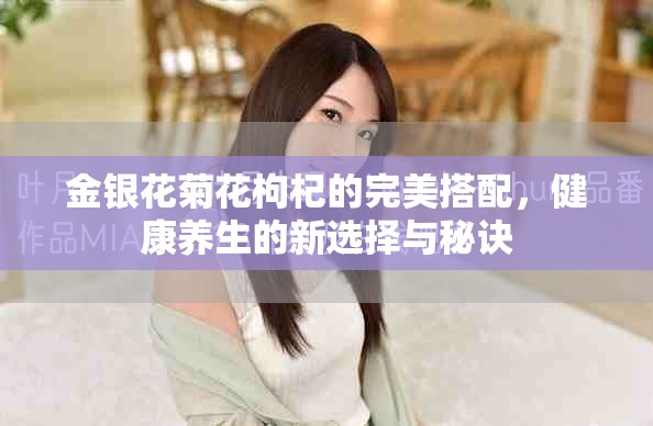 金银花菊花枸杞的完美搭配，健康养生的新选择与秘诀