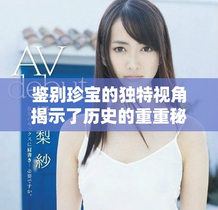 鉴别珍宝的独特视角揭示了历史的重重秘密