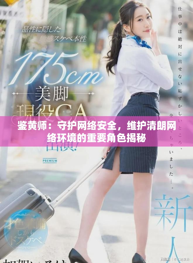 鉴黄师：守护网络安全，维护清朗网络环境的重要角色揭秘