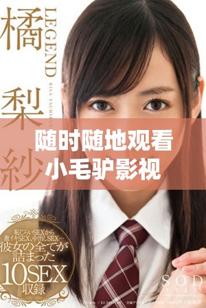 随时随地观看小毛驴影视的便捷在线平台推荐