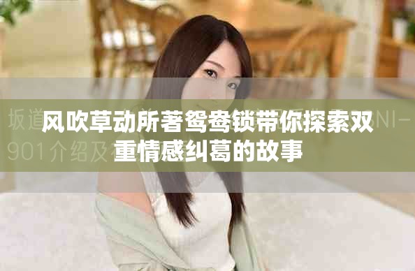 风吹草动所著鸳鸯锁带你探索双重情感纠葛的故事