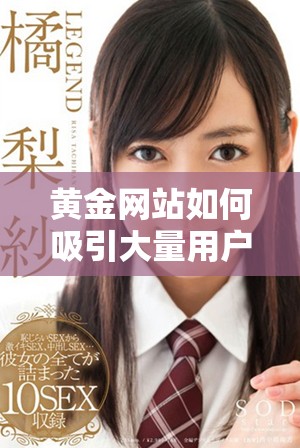 黄金网站如何吸引大量用户在线观看热门电视剧的探讨与分析