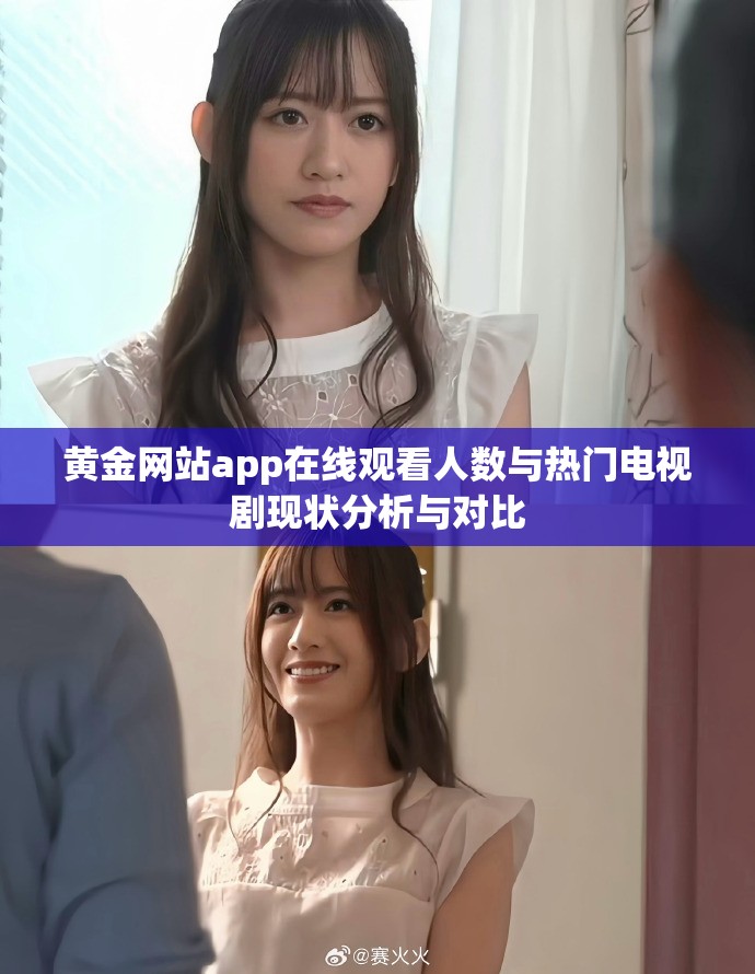 黄金网站app在线观看人数与热门电视剧现状分析与对比