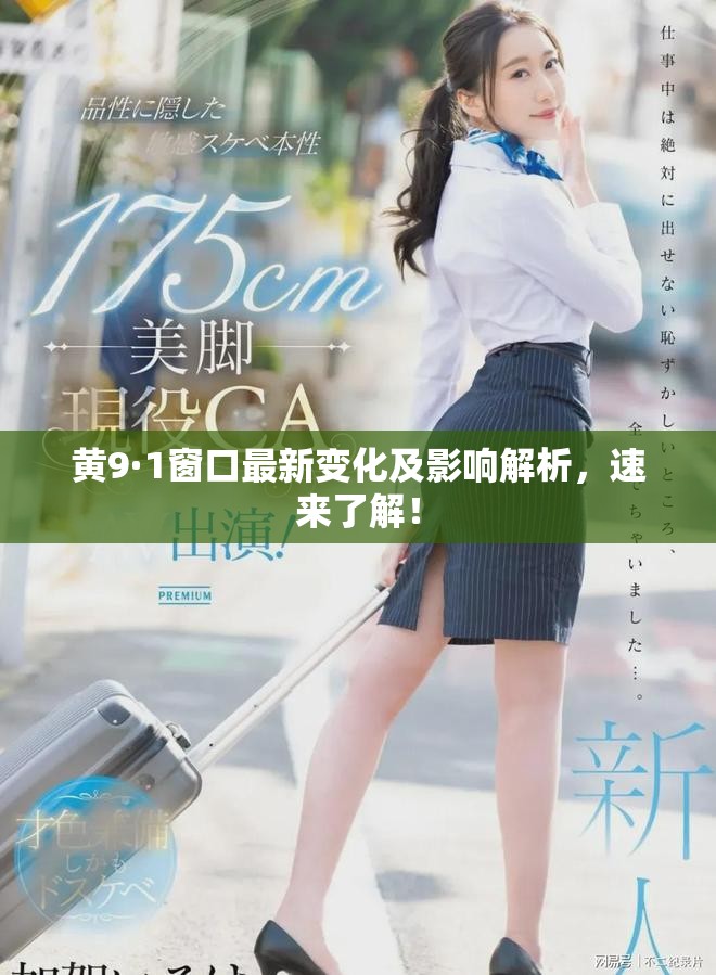 黄9·1窗口最新变化及影响解析，速来了解！