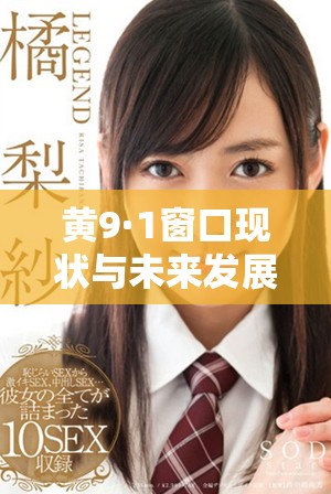 黄9·1窗口现状与未来发展趋势深入分析