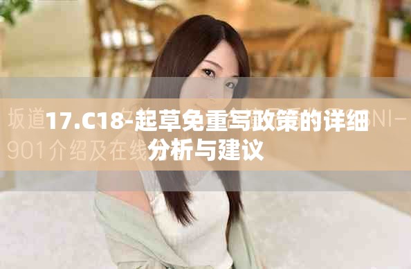 17.C18-起草免重写政策的详细分析与建议