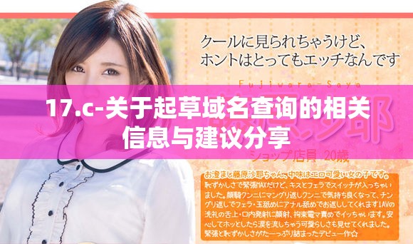 17.c-关于起草域名查询的相关信息与建议分享
