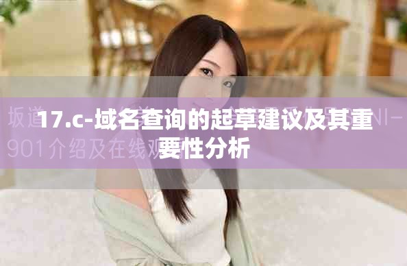 17.c-域名查询的起草建议及其重要性分析