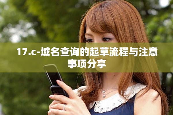 17.c-域名查询的起草流程与注意事项分享