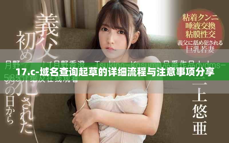 17.c-域名查询起草的详细流程与注意事项分享
