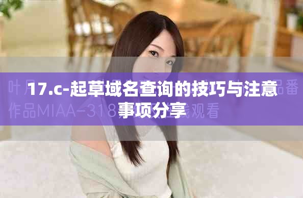 17.c-起草域名查询的技巧与注意事项分享