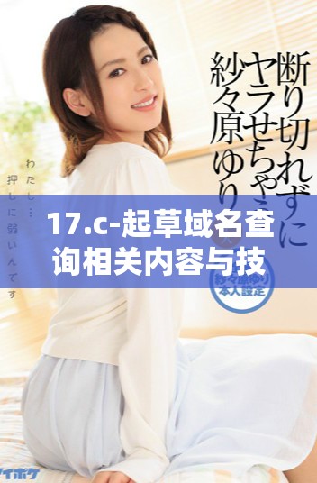 17.c-起草域名查询相关内容与技巧分享
