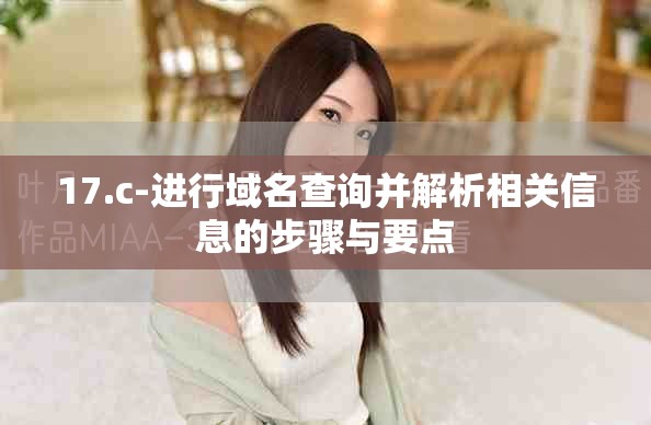 17.c-进行域名查询并解析相关信息的步骤与要点