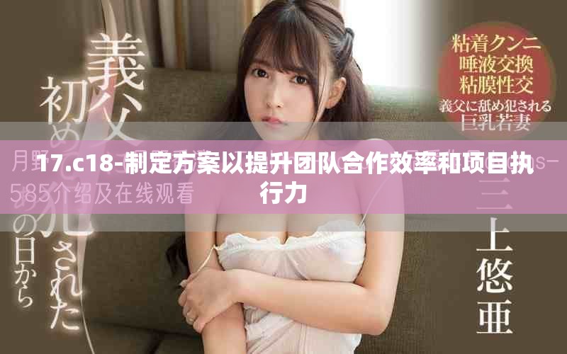 17.c18-制定方案以提升团队合作效率和项目执行力
