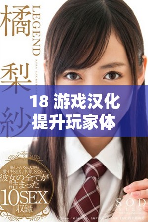 18+游戏汉化提升玩家体验，让更多人畅享乐趣