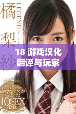 18+游戏汉化翻译与玩家体验的深度解析与探讨