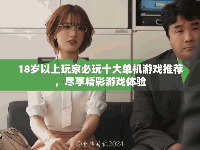 18岁以上玩家必玩十大单机游戏推荐，尽享精彩游戏体验