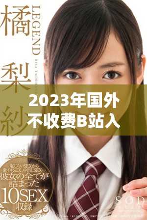 2023年国外不收费B站入口探秘与使用指南