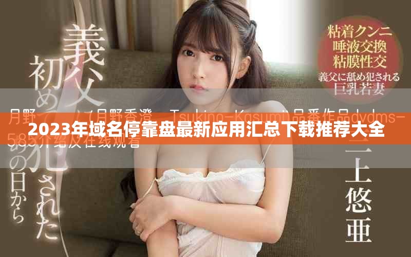 2023年域名停靠盘最新应用汇总下载推荐大全