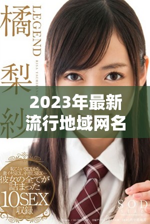 2023年最新流行地域网名大盘点与推荐分析