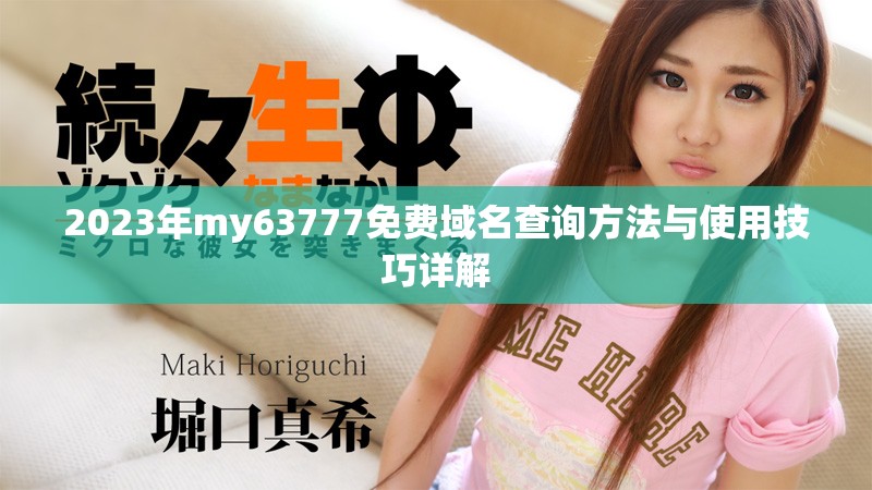 2023年my63777免费域名查询方法与使用技巧详解