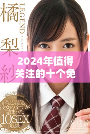 2024年值得关注的十个免费网站推广平台推荐与解析