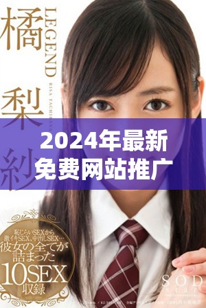2024年最新免费网站推广方法全解析，助力你的网络营销之路