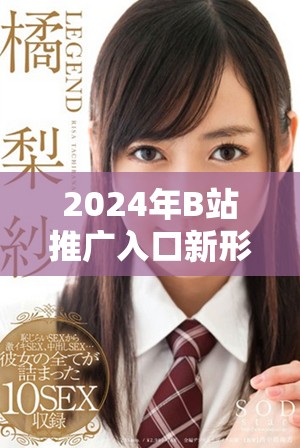 2024年B站推广入口新形式全解析，助力网站宣传更高效