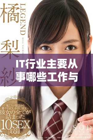 IT行业主要从事哪些工作与职业发展机遇分析