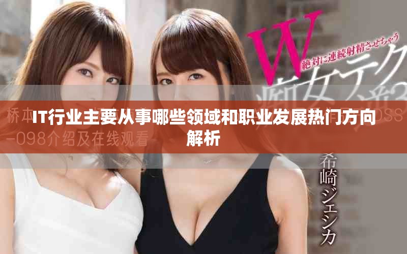 IT行业主要从事哪些领域和职业发展热门方向解析