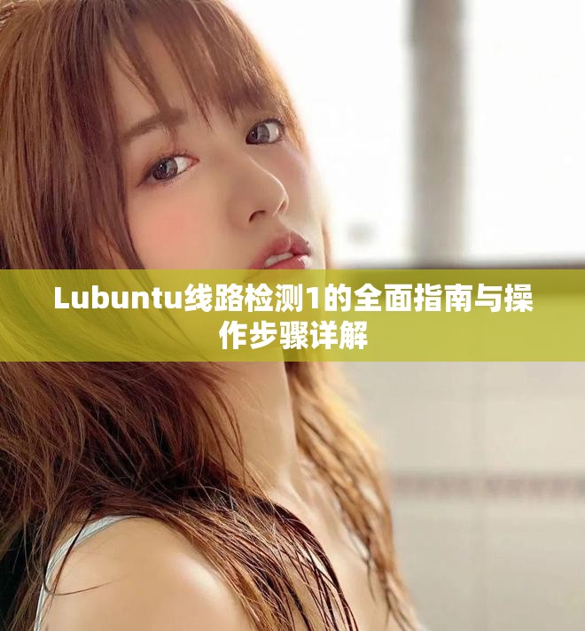 Lubuntu线路检测1的全面指南与操作步骤详解