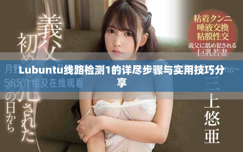 Lubuntu线路检测1的详尽步骤与实用技巧分享