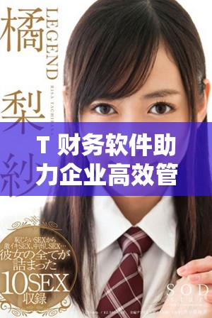 T+财务软件助力企业高效管理财务，实现财务透明化与智能化