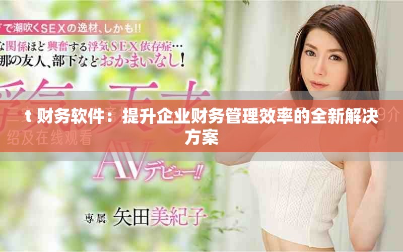 t+财务软件：提升企业财务管理效率的全新解决方案